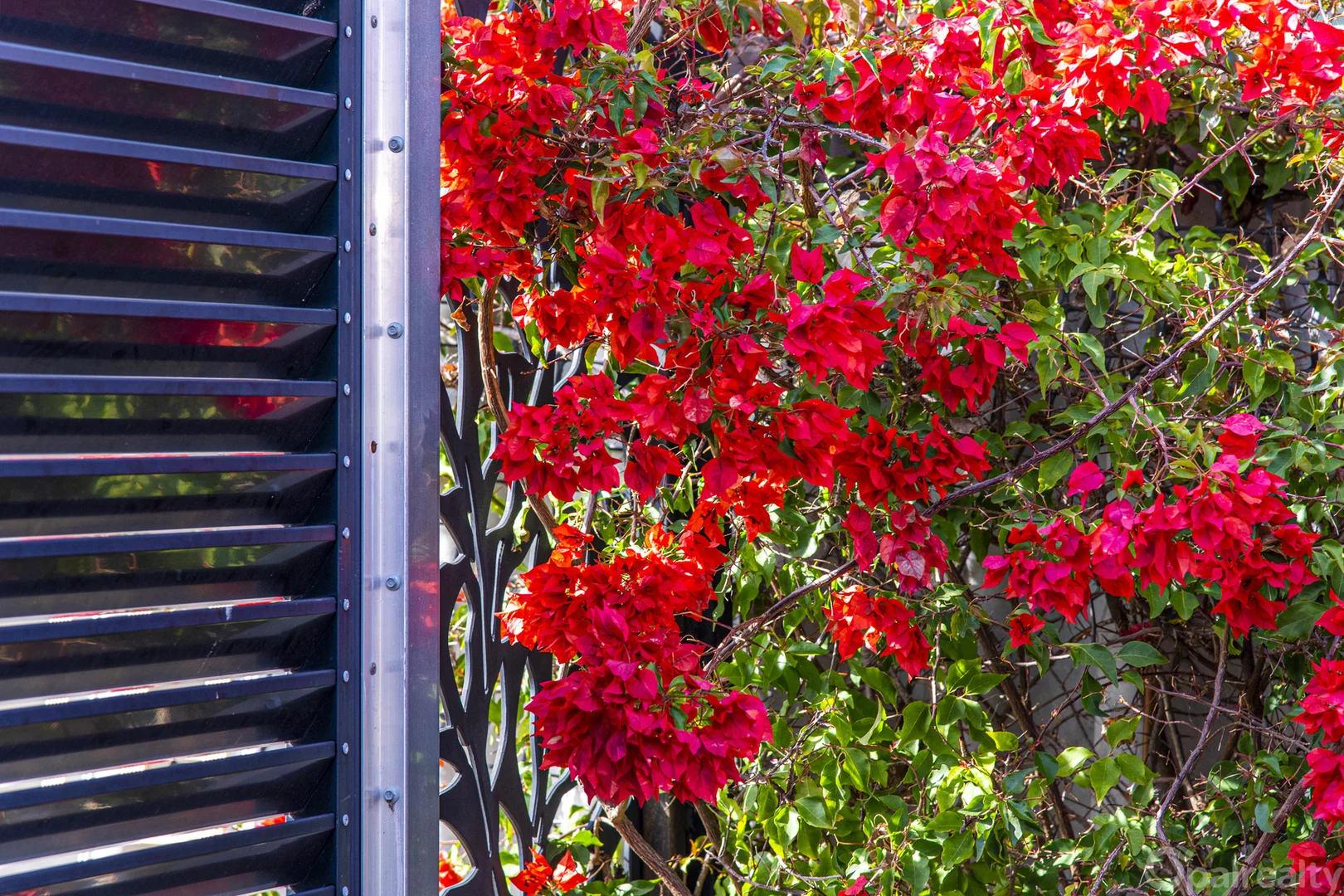 Additional image 3 of 13 Sarah Ann Crescent, Warnbro WA 6169