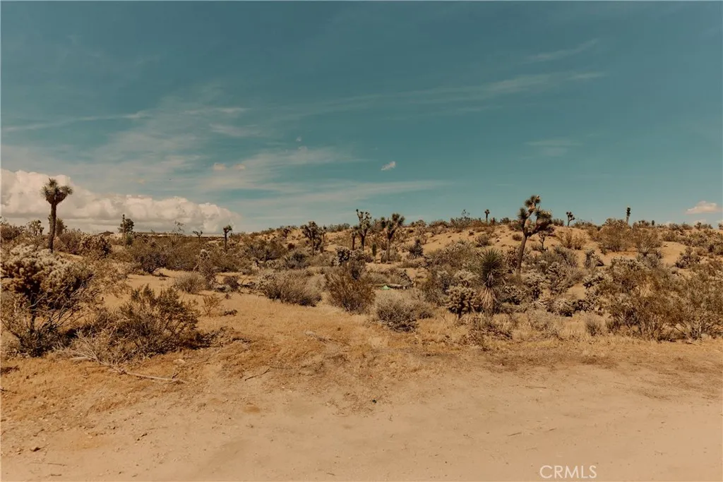 Additional image 45 of 59055 Williams Lane, Yucca Valley, CA 92284