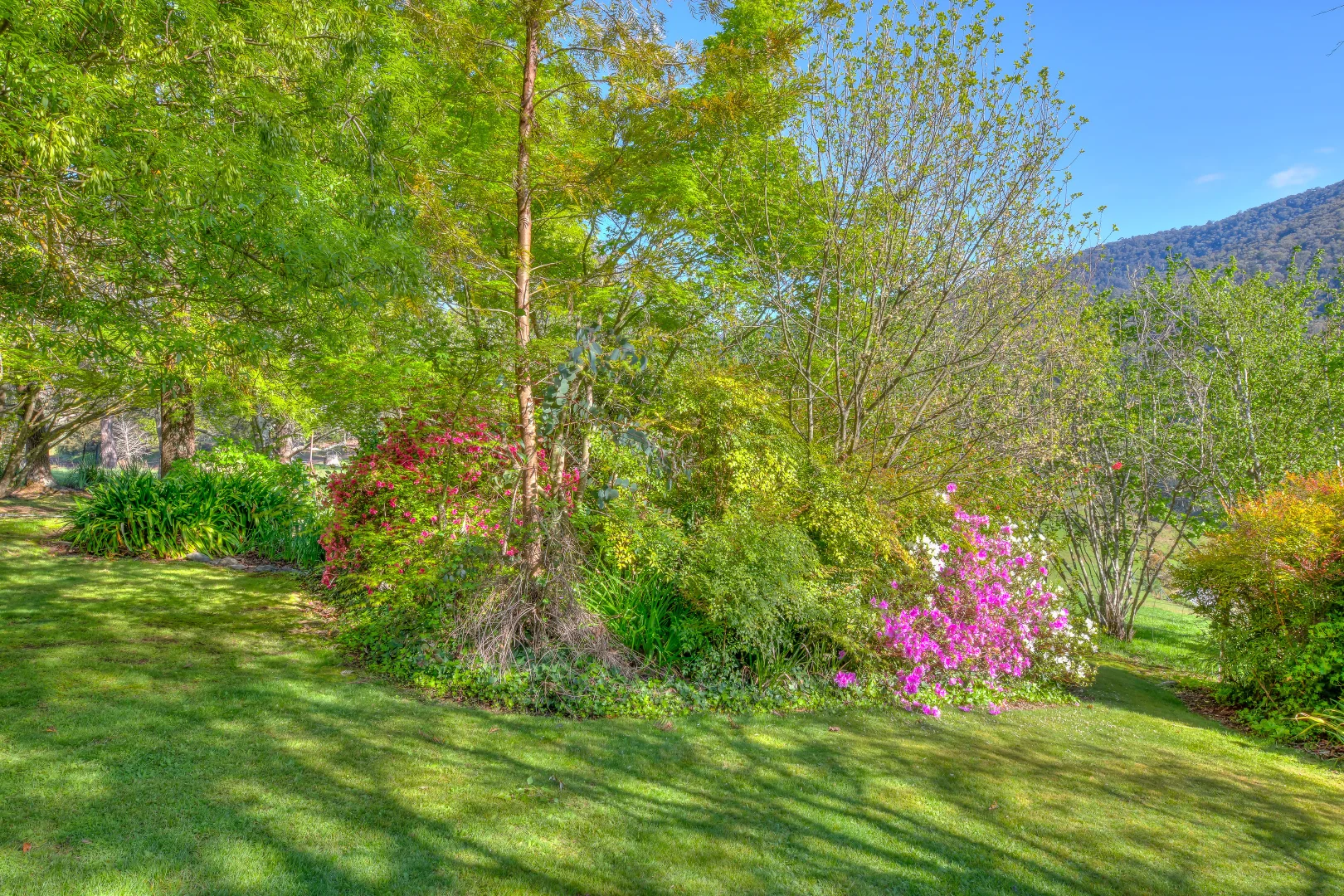 Additional image 23 of 152 Tawonga Gap Road, Bright VIC 3741