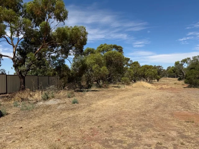 Additional image 2 of 12 Fogarty Street, Mingenew WA 6522