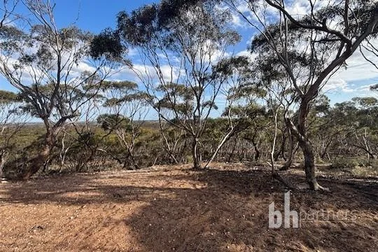 Additional image 9 of Section 369 Schwertie Road, Black Hill SA 5353