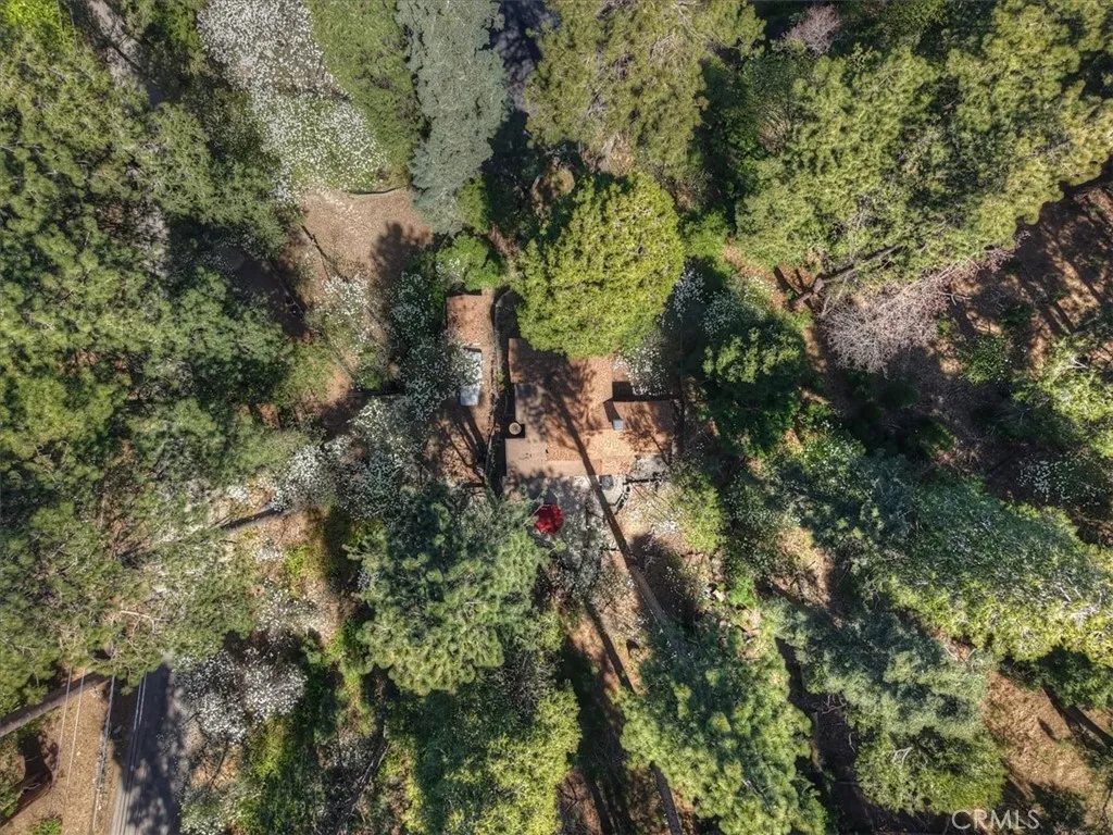 Additional image 103 of 851 Cottage Grove Rd, Lake Arrowhead, CA 92352