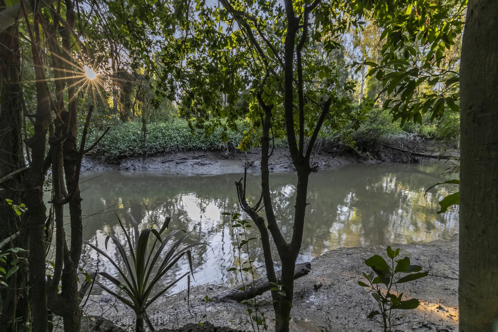 Additional image 30 of 98 Lather Road, Bellbowrie QLD 4070