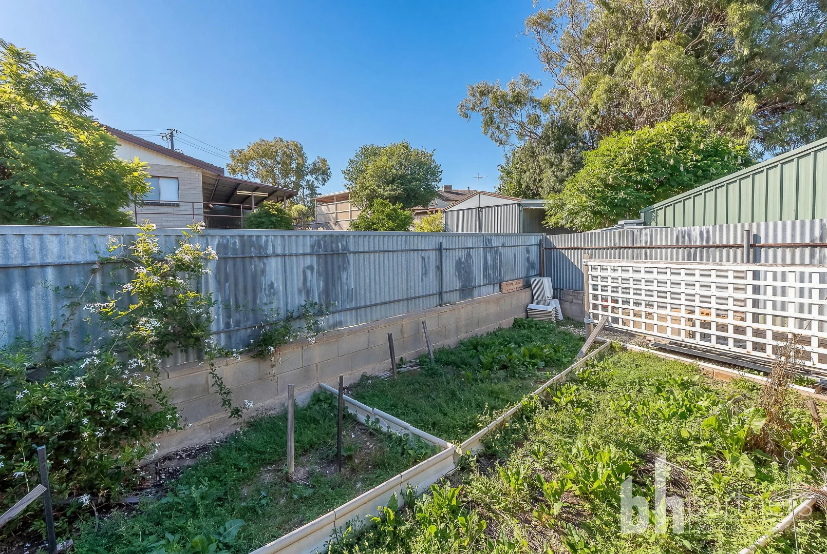 Additional image 21 of 15 Powell Street, Berri SA 5343