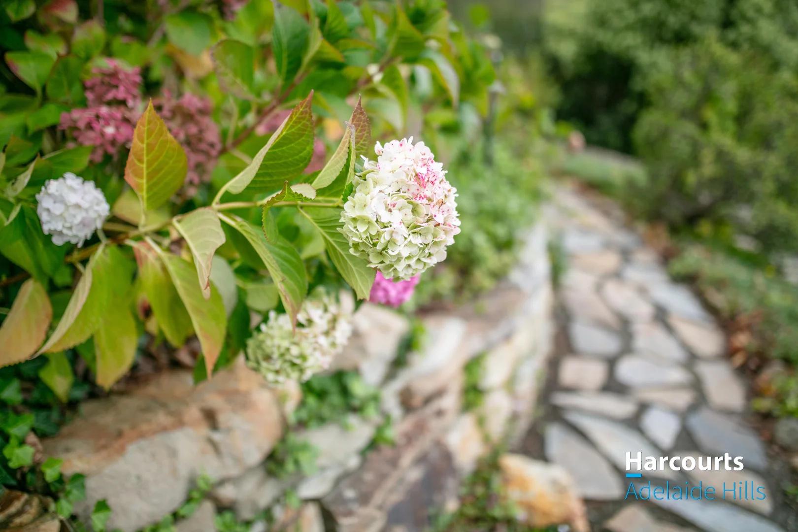 Additional image 23 of 76 Wilpena Terrace, Aldgate SA 5154