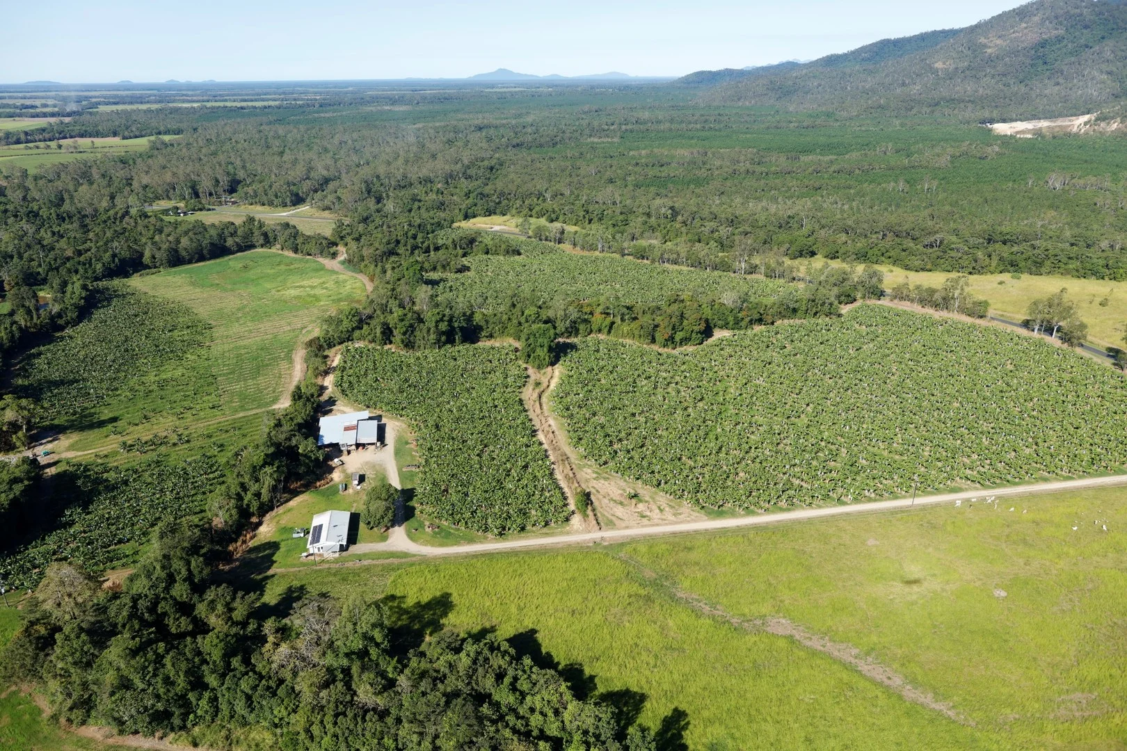 164 Middle Murray Road, Murray Upper QLD 4854