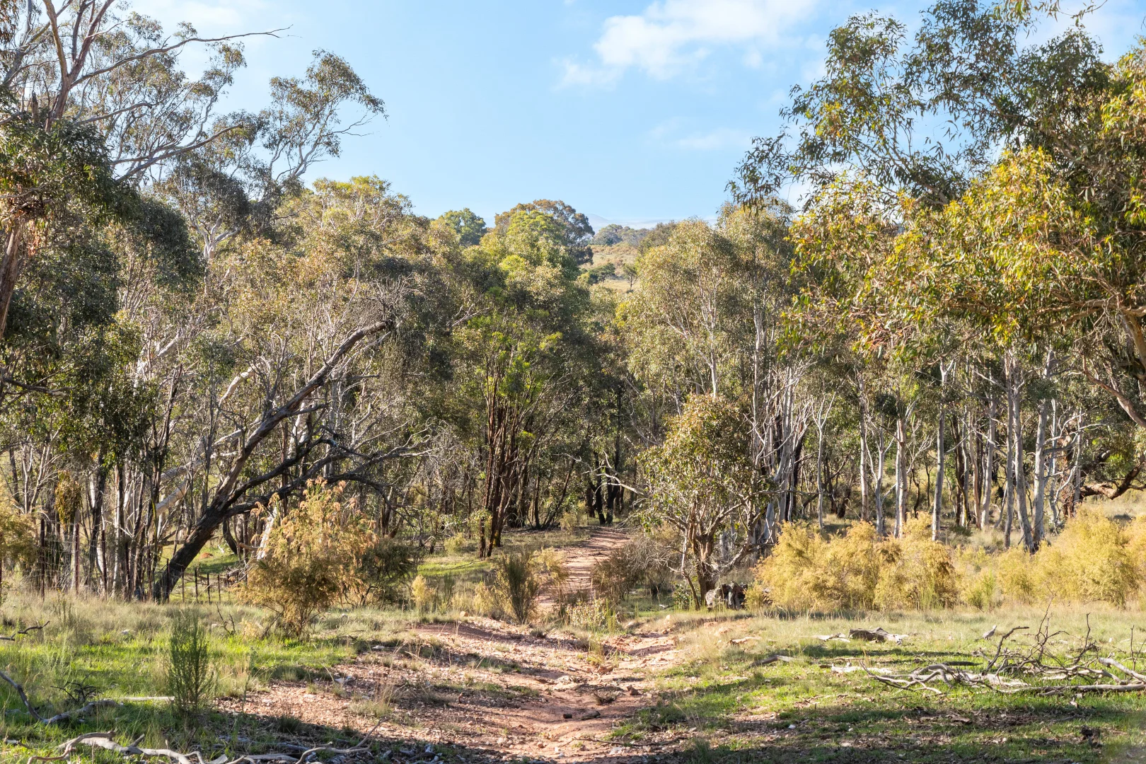 Additional image 5 of 7293 & 7295 Federal Highway, YARRA /, Goulburn NSW 2580