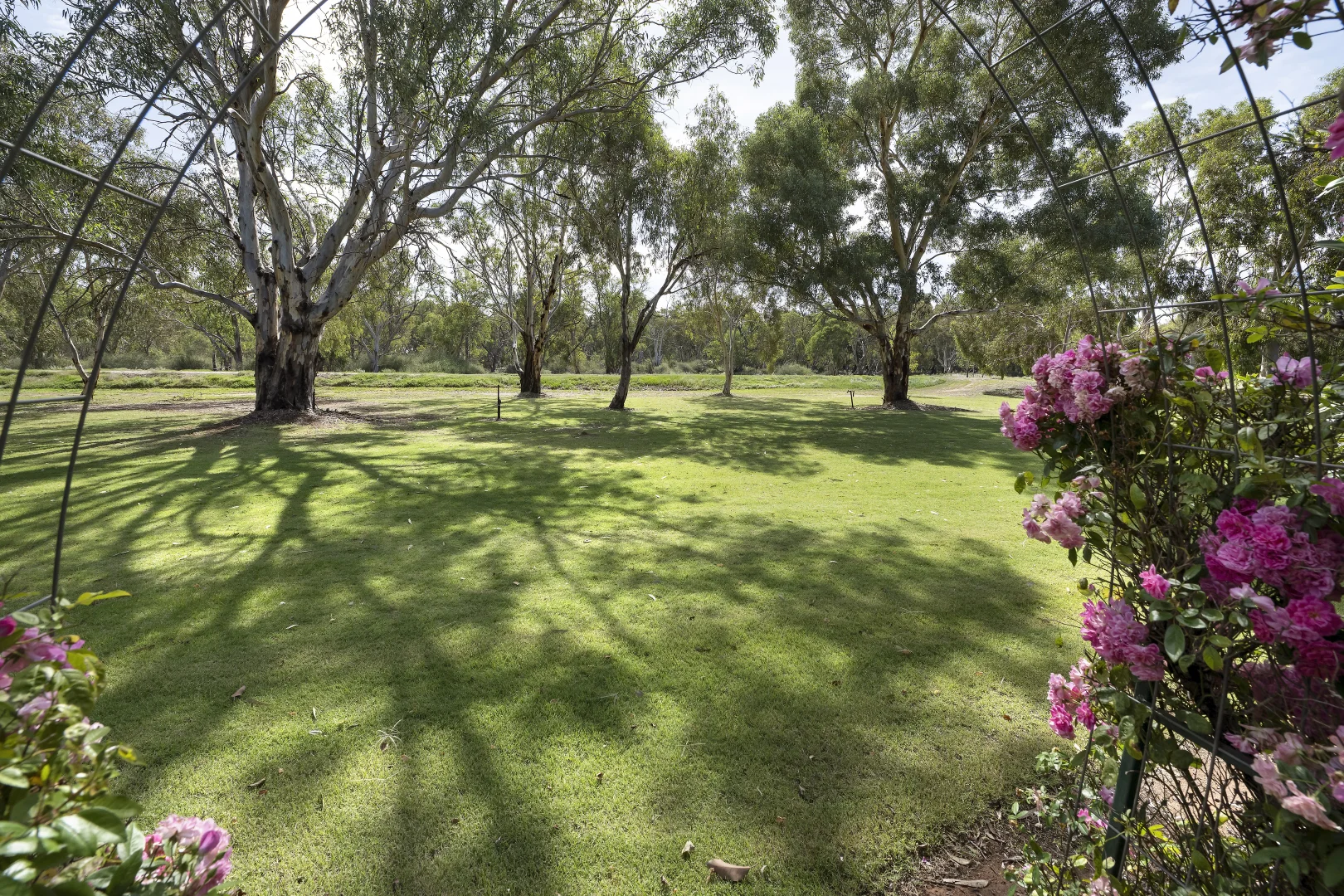 Additional image 23 of 1105 Pental Island Road, Pental Island VIC 3586