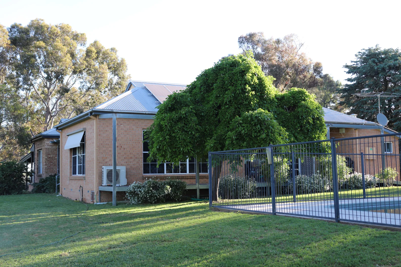 Additional image 2 of 510 Kingsvale Road, Young NSW 2594