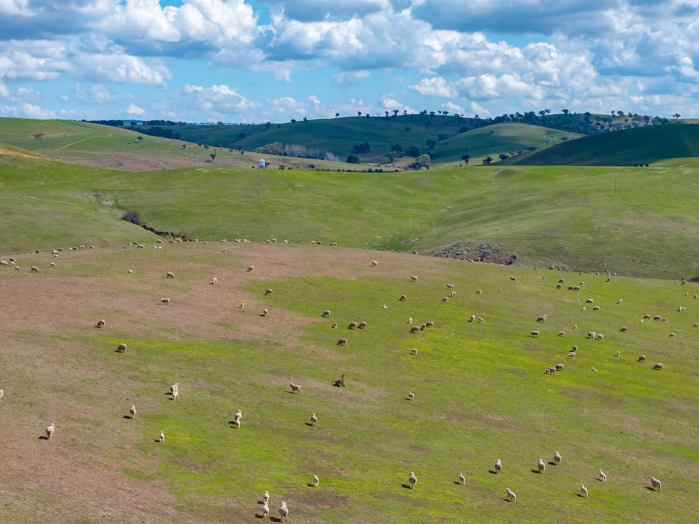 Additional image 8 of 1185 Golspie Road, Laggan NSW 2583
