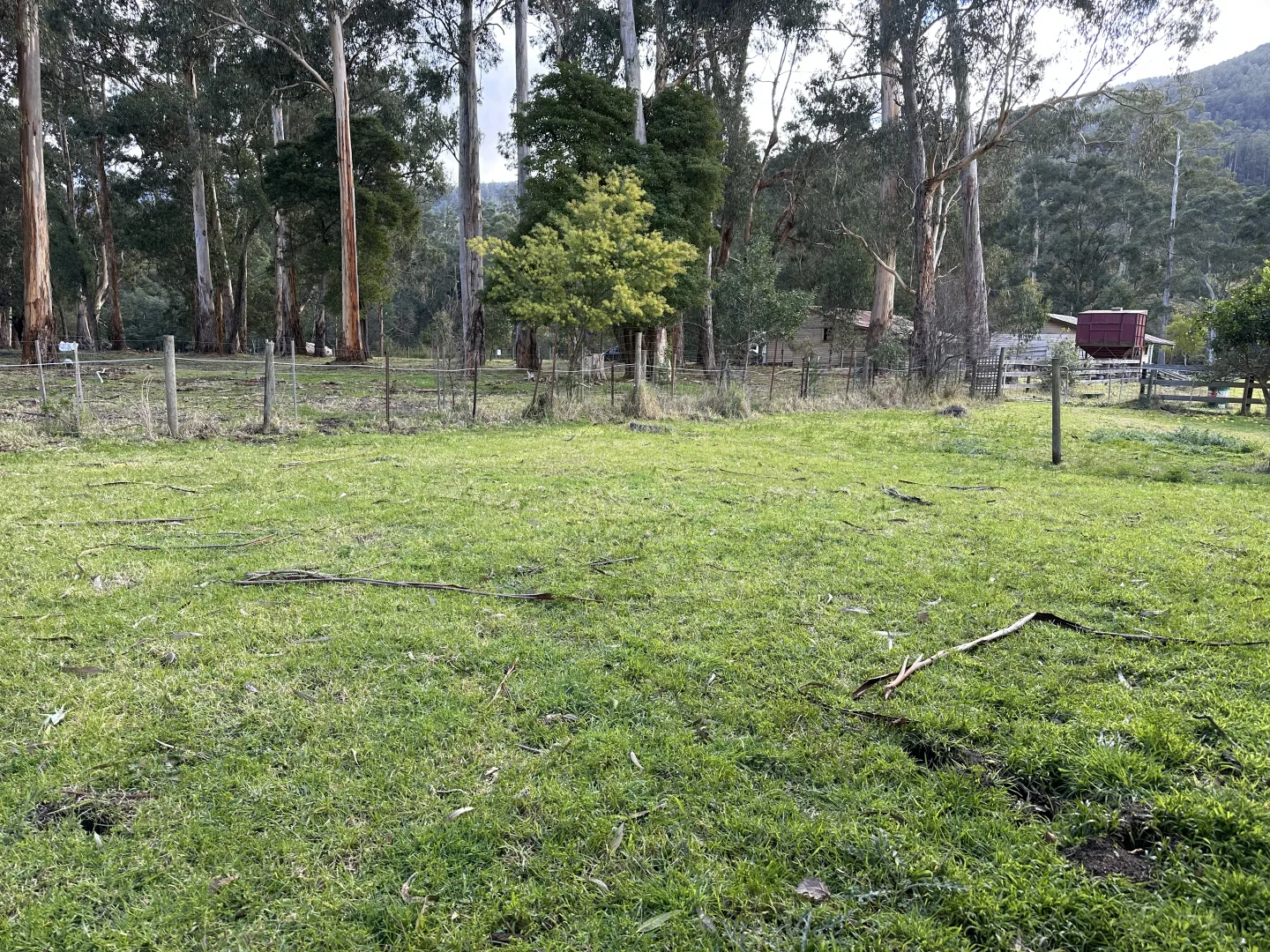 Additional image 11 of 3175 Warburton Highway, Warburton VIC 3799