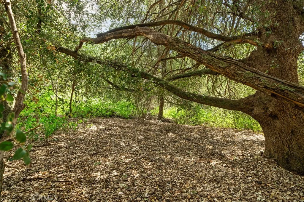 Additional image 104 of 39804 Pine Bench Rd, Yucaipa, CA 92399