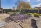Additional image 11 of Maple Close, Horncastle