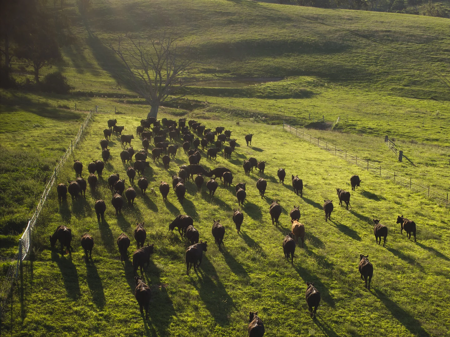 Tarana NSW 2787 photo 2