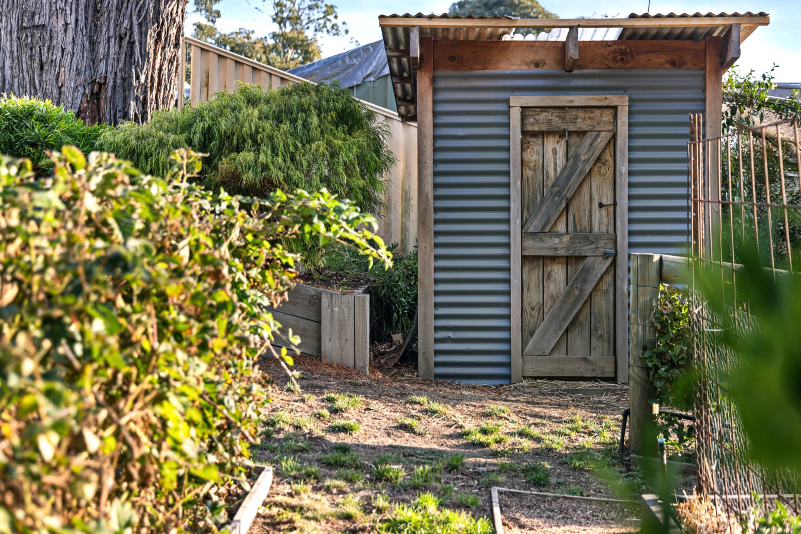 Additional image 23 of 209 Sim Street, Black Hill VIC 3350