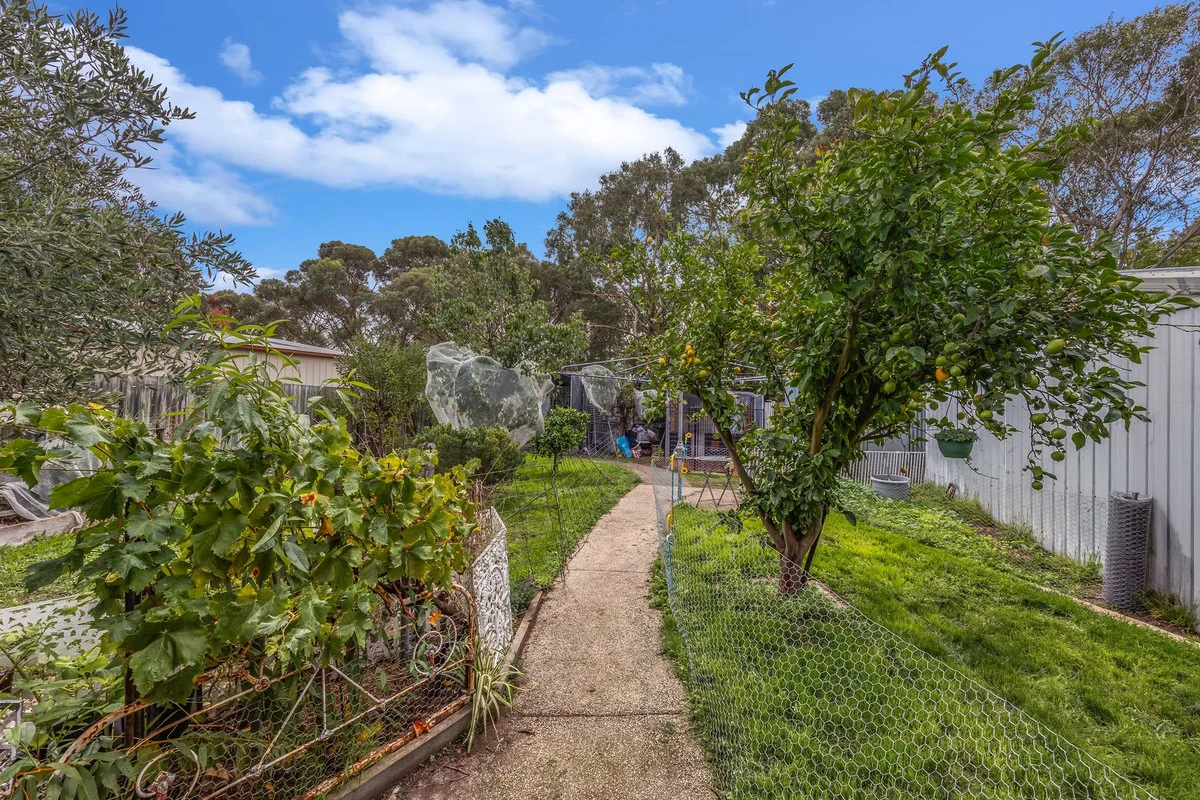 Additional image 8 of 87 Willis Street, Winchelsea VIC 3241