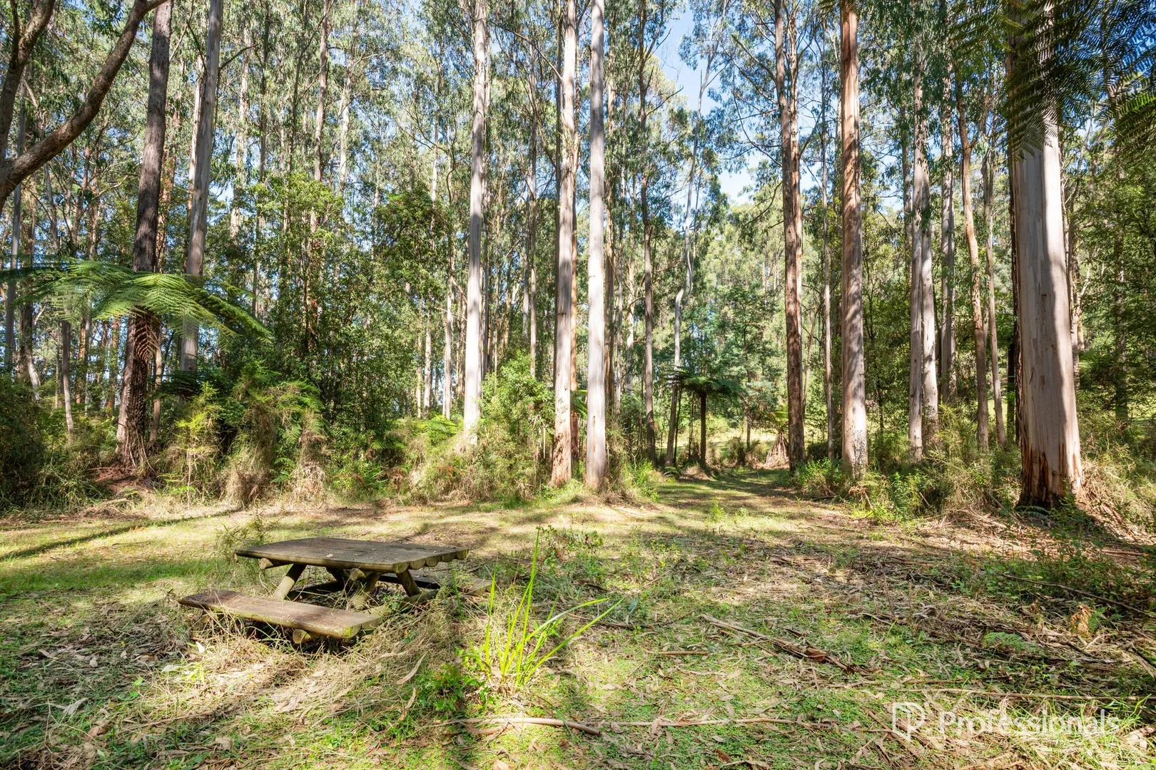 Additional image 25 of 620 Thonemans Road, Hoddles Creek VIC 3139