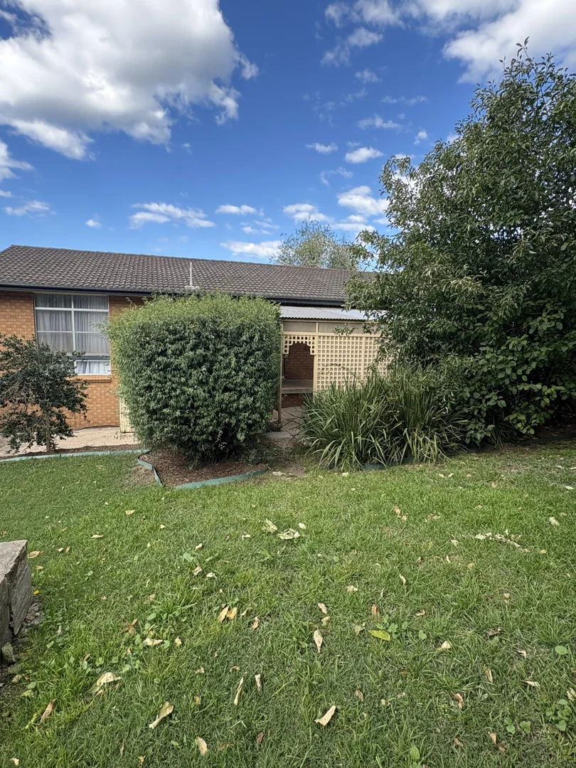 Additional image 10 of 119 East Street, Bega NSW 2550