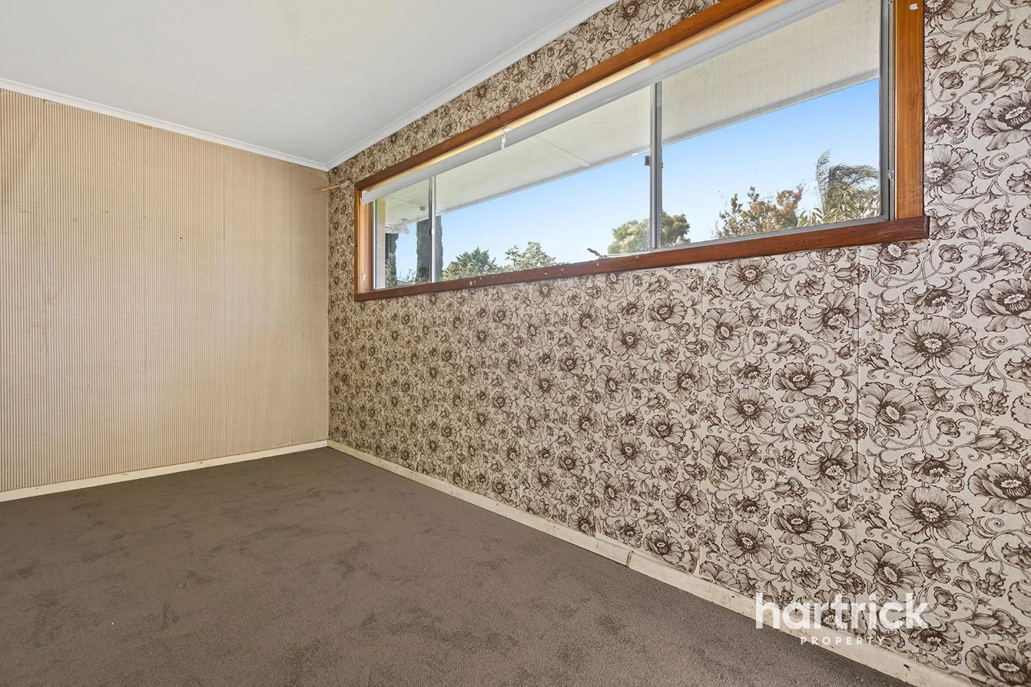 Additional image 11 of 17 Lydia Street, Bentleigh VIC 3204