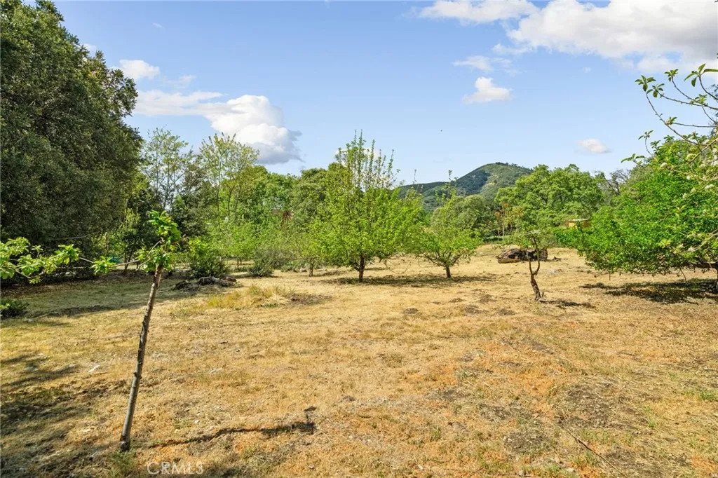 Additional image 44 of 39804 Pine Bench Rd, Yucaipa, CA 92399