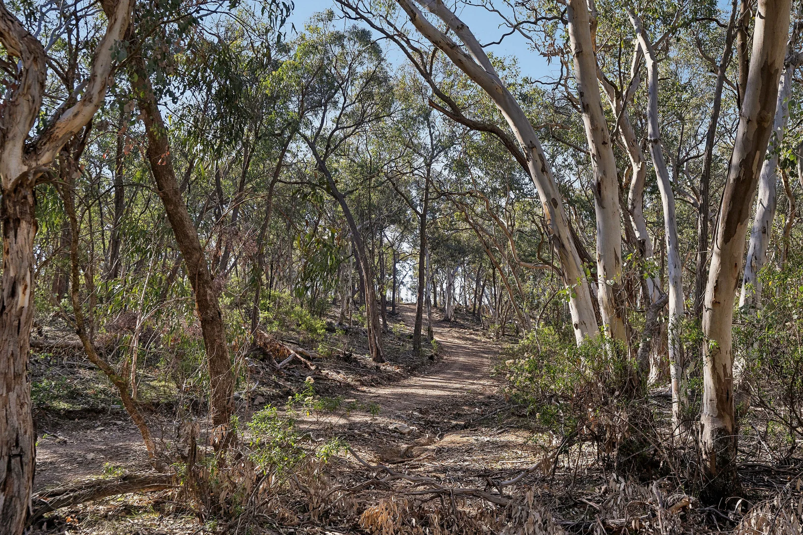 Additional image 5 of 1018 Mount Aquila Road, Stuart Town NSW 2820