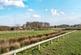 Additional image 17 of Banbury,  Oxfordshire,  OX16