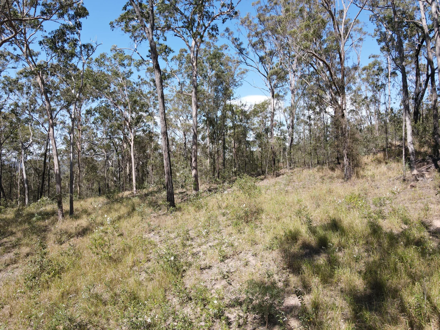 Additional image 15 of 428 Bruxner Road, Drake NSW 2469