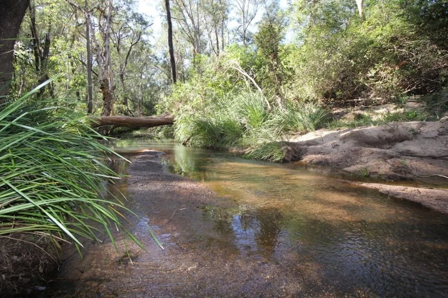 Additional image 6 of 491 Hills Road, Berajondo QLD 4674