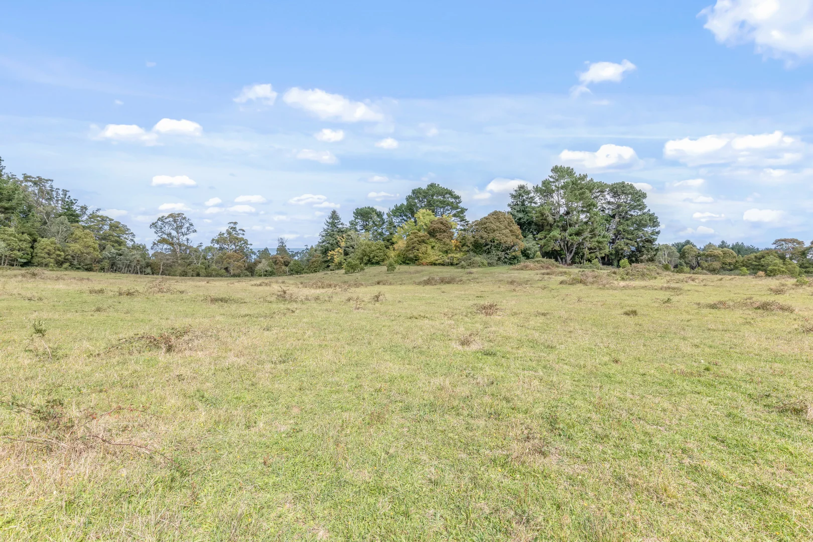 Additional image 17 of 1231 Sunny Corner Road, Sunny Corner NSW 2795