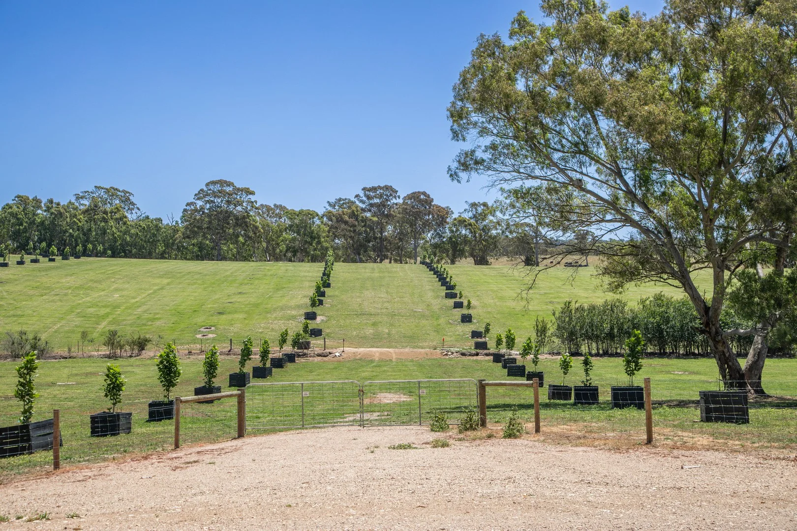 764 (Lot 105) Flaxley Road, Flaxley SA 5153