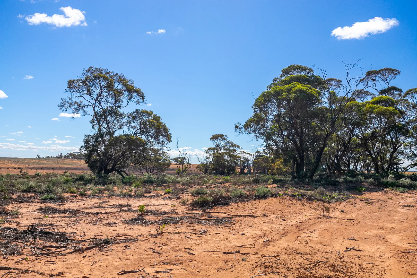 Additional image 16 of Lots 6-11 Crase Road, Loxton SA 5333