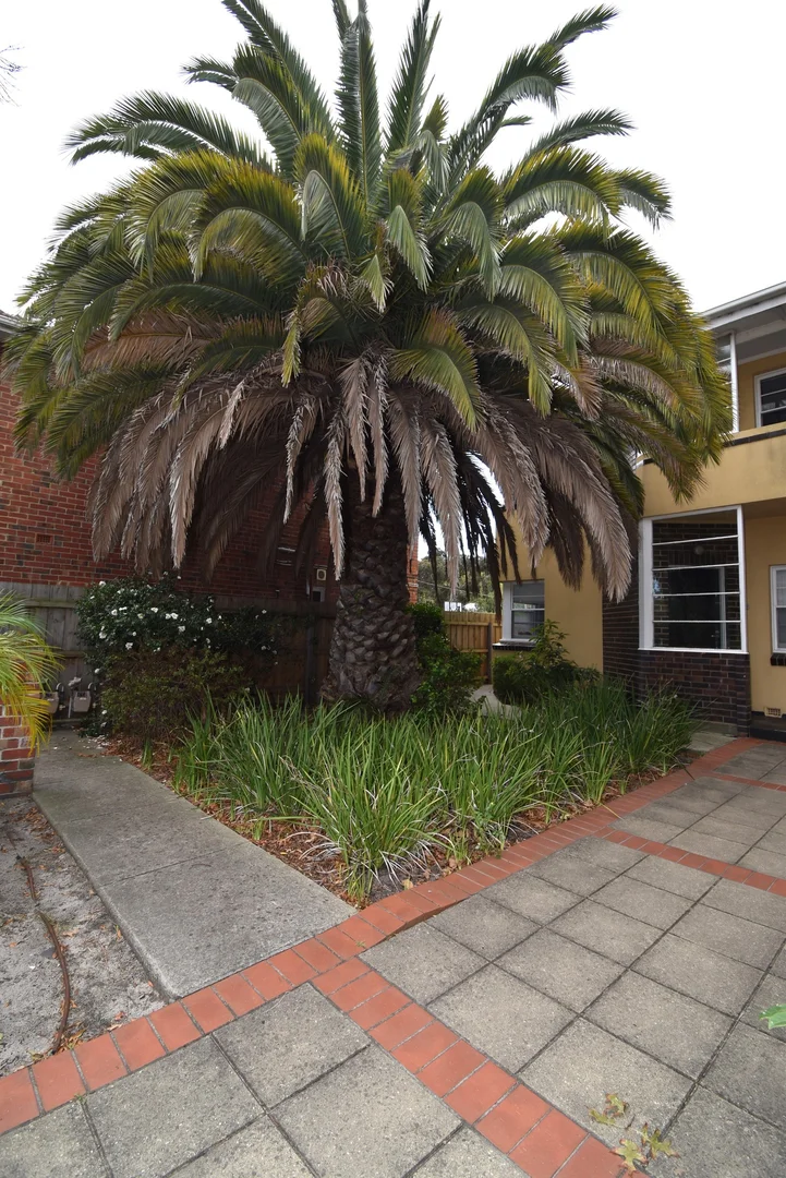 Additional image 2 of 6/62 York Street, St Kilda West VIC 3182