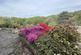 Additional image 24 of Dalesway, Heswall, Wirral