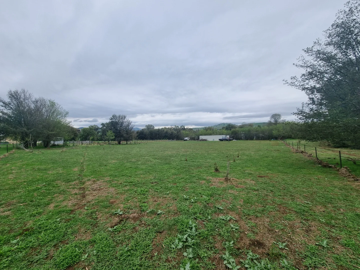 Additional image 5 of Lot 1 & 2 Mount Street, Coolac NSW 2727