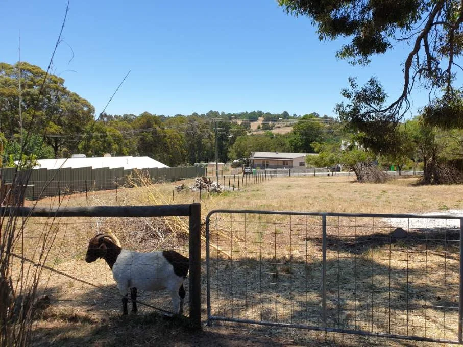 Additional image 4 of 22 Steere Street, Balingup WA 6253