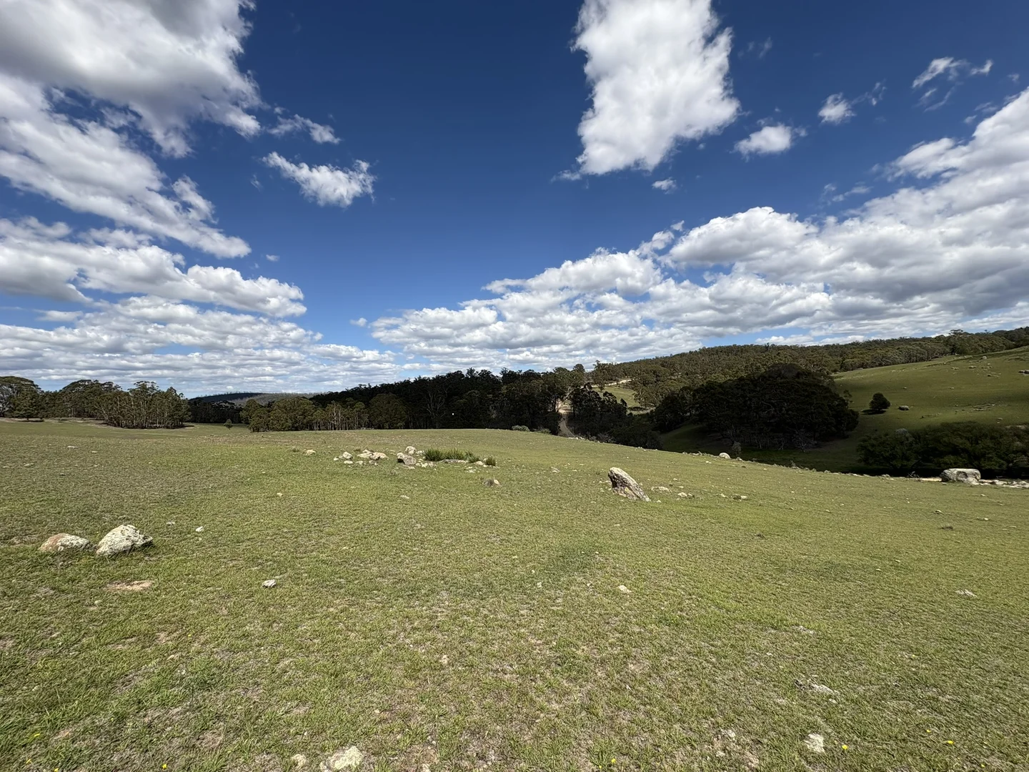 Additional image 3 of 29, 175 Tumbledown Road, Peak View NSW 2630