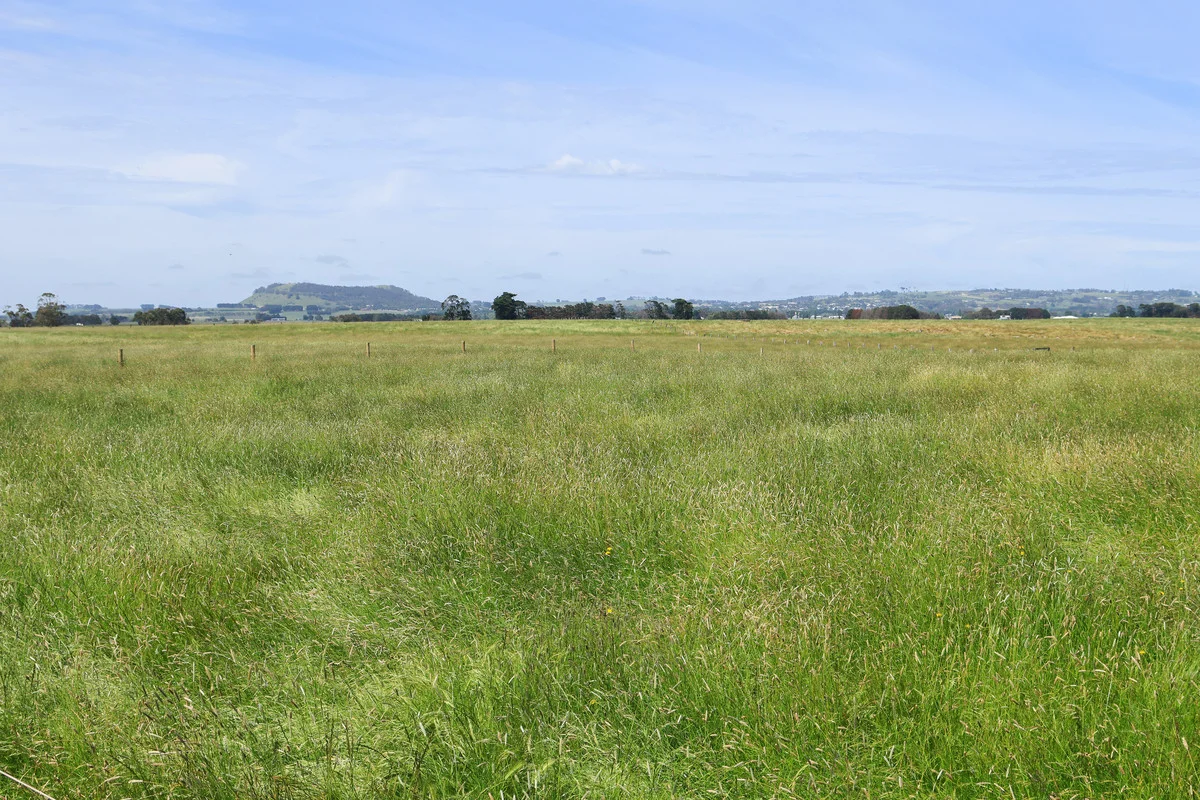 Additional image 23 of 'Avon Park Farm' 310 Chocolyn Road, Camperdown VIC 3260