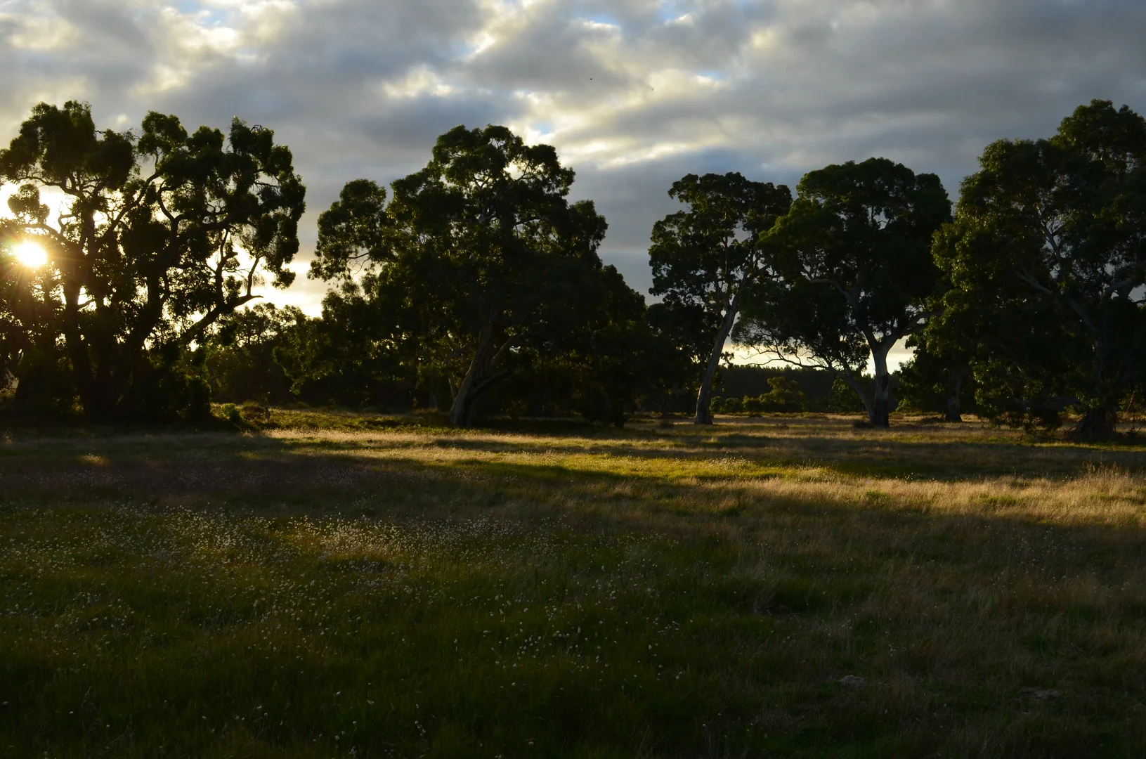 Additional image 45 of Southern Ports Highway, Mount Benson SA 5275