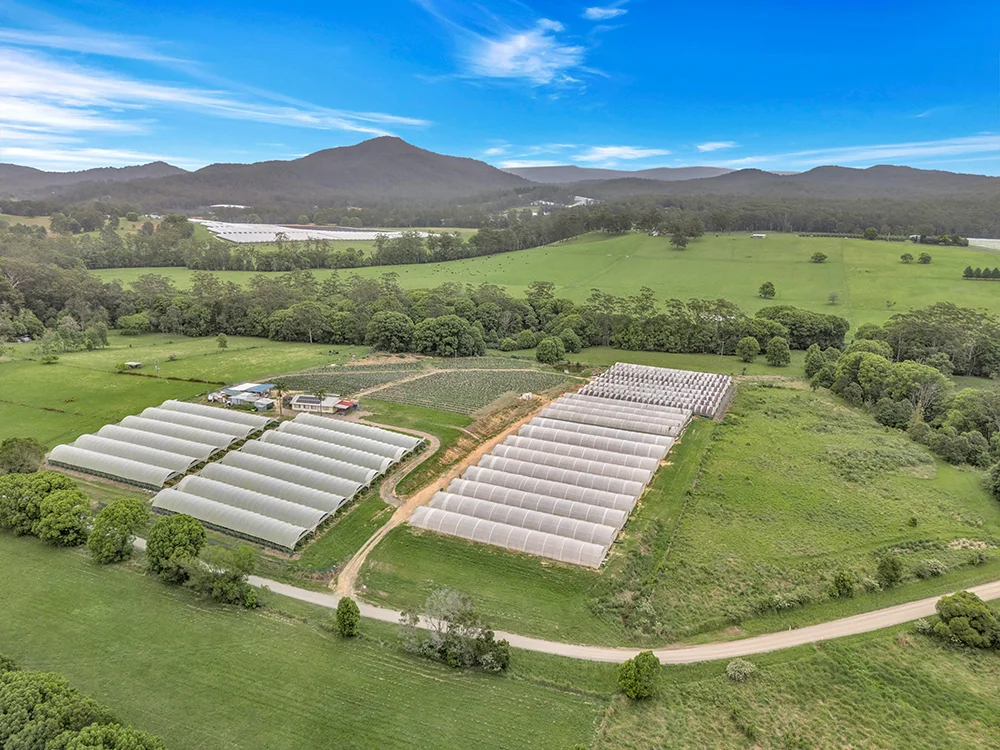 Additional image 5 of 289 Mardells Road, Bucca NSW 2450