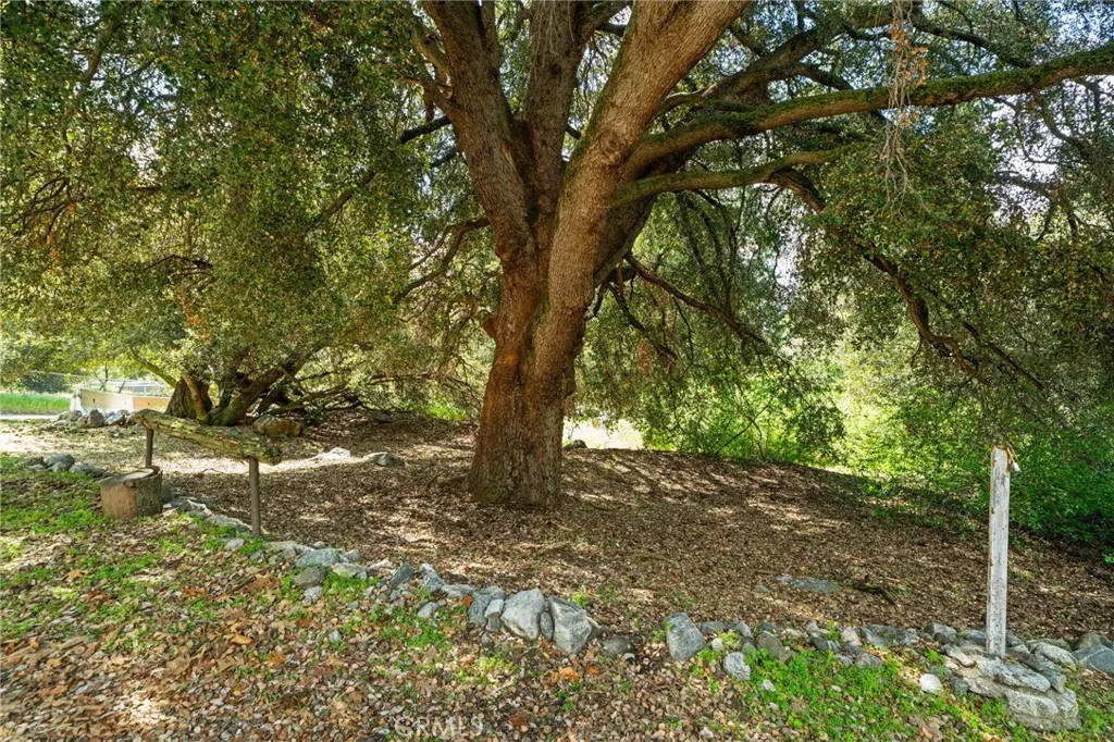 Additional image 97 of 39804 Pine Bench Rd, Yucaipa, CA 92399