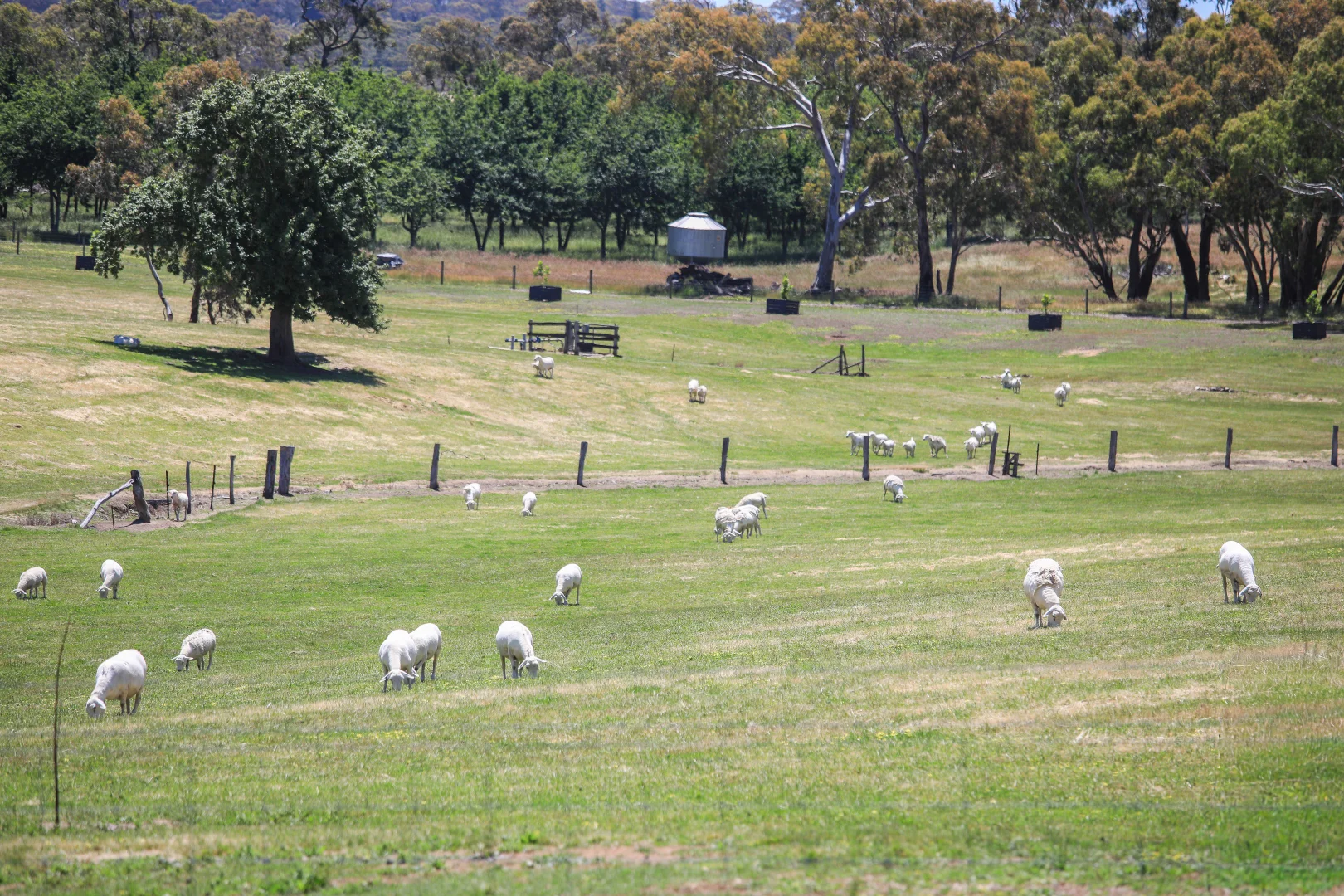 Additional image 8 of 764 (Sec 2989) Flaxley Road, Flaxley SA 5153