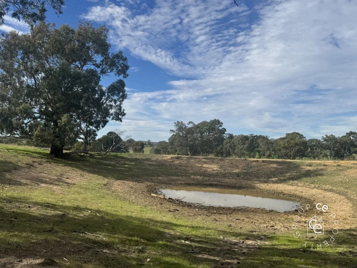 Additional image 5 of 179 Shearers Road, Eden Valley SA 5235