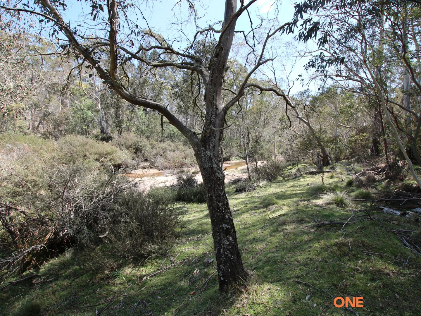 Additional image 15 of 401 Glen Allen Road, Glen Allen NSW 2631