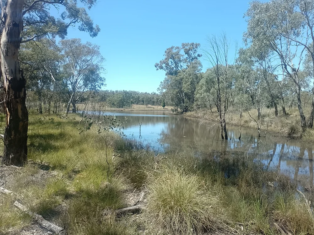 1025 Castlereagh Highway, Dunedoo NSW 2844