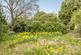 Additional image 11 of Fairmile Lane, Cobham, Surrey, KT11