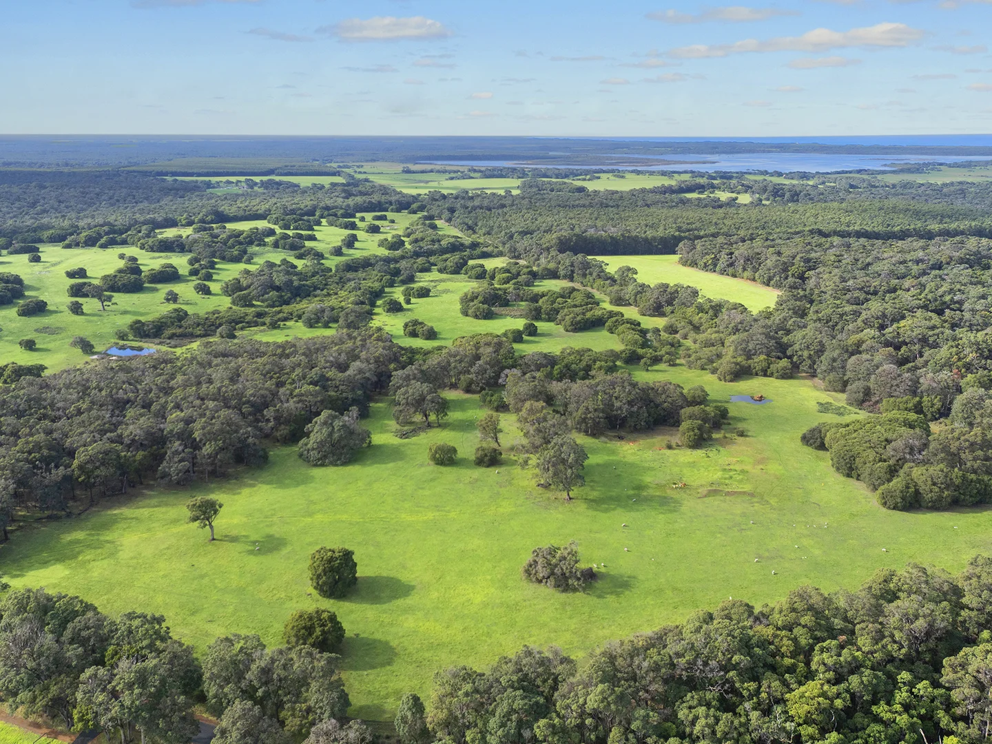 Lot 45 Blackwood Grove, Kudardup WA 6290