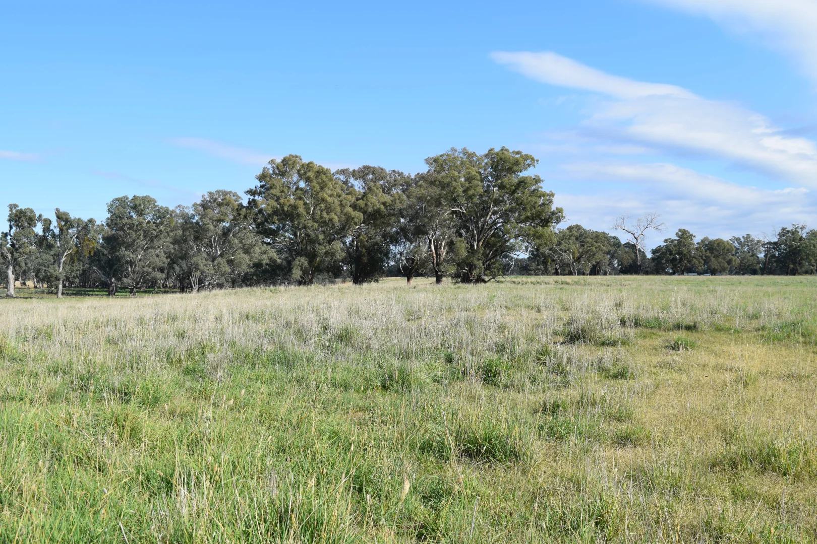 Additional image 4 of lot 5/3905 Riverina Highway, Bungowannah NSW 2640