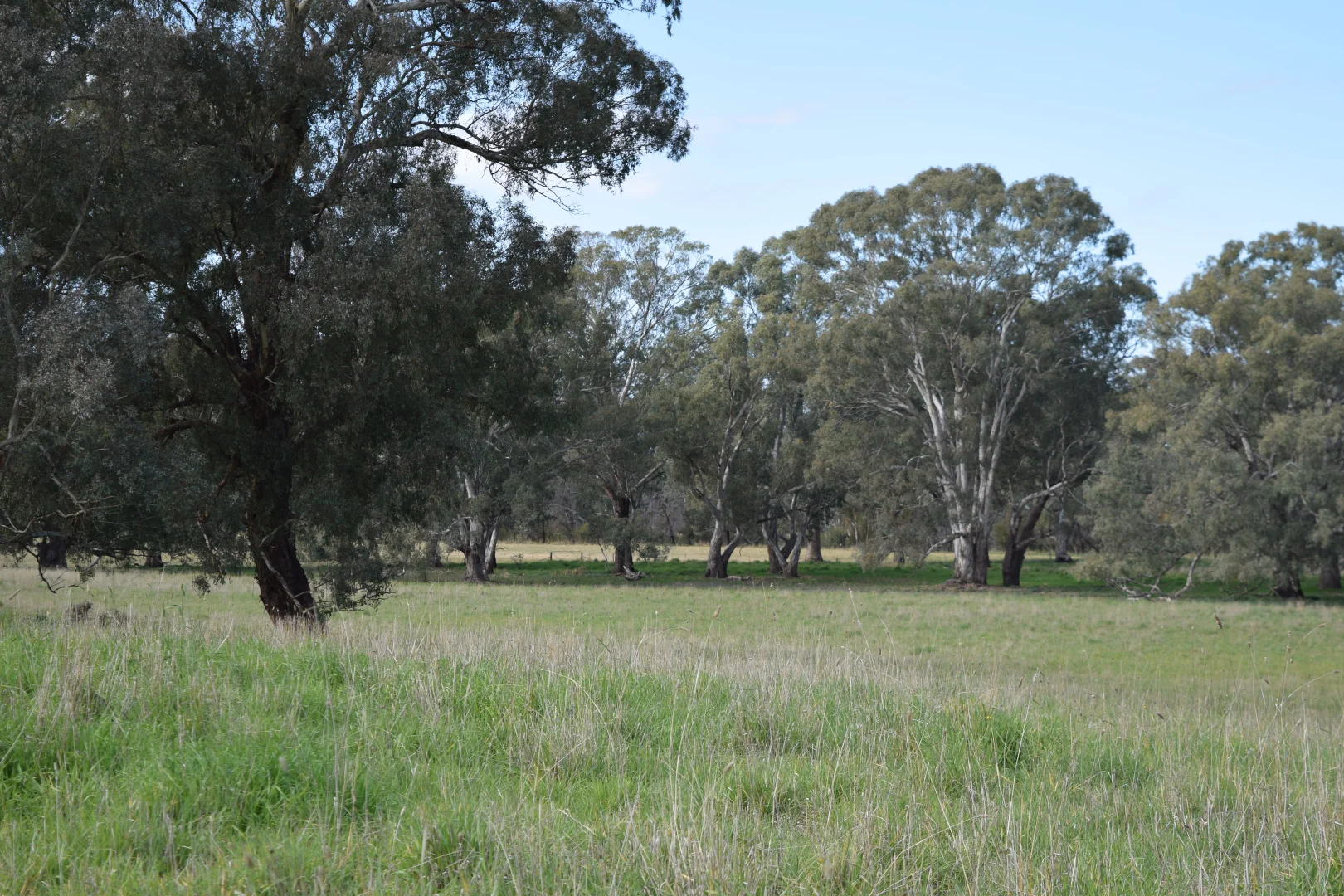 Additional image 6 of lot 5/3905 Riverina Highway, Bungowannah NSW 2640