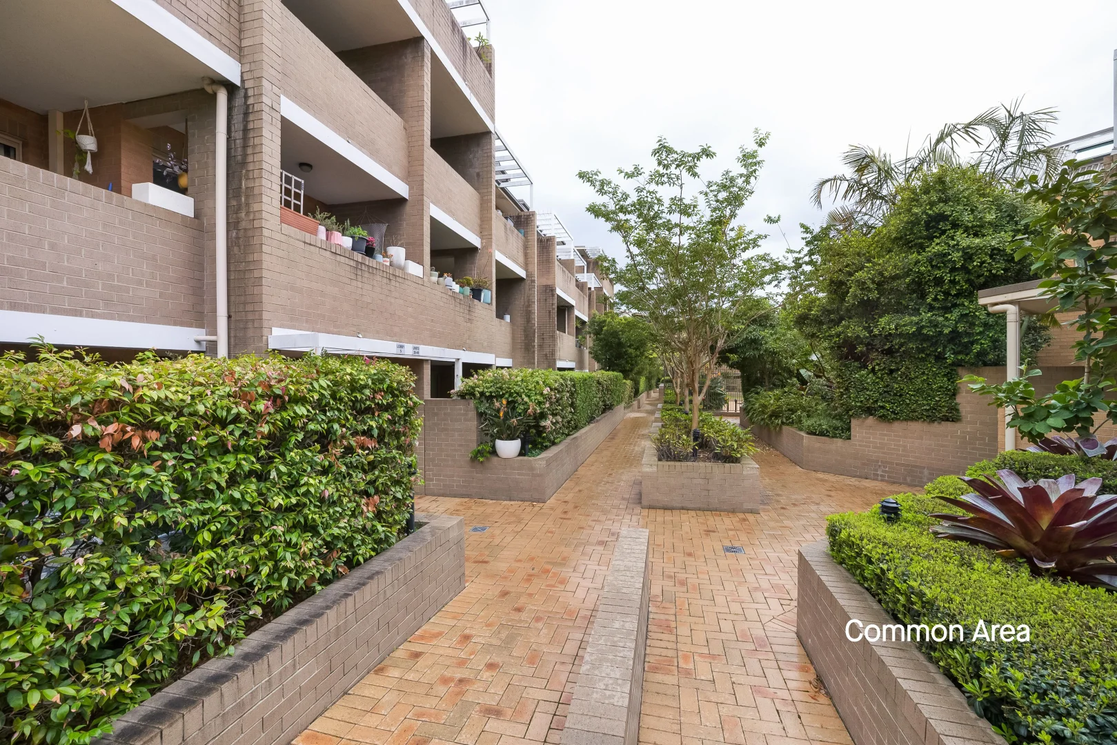 Additional image 18 of 61/115-117 Constitution Road, Dulwich Hill NSW 2203