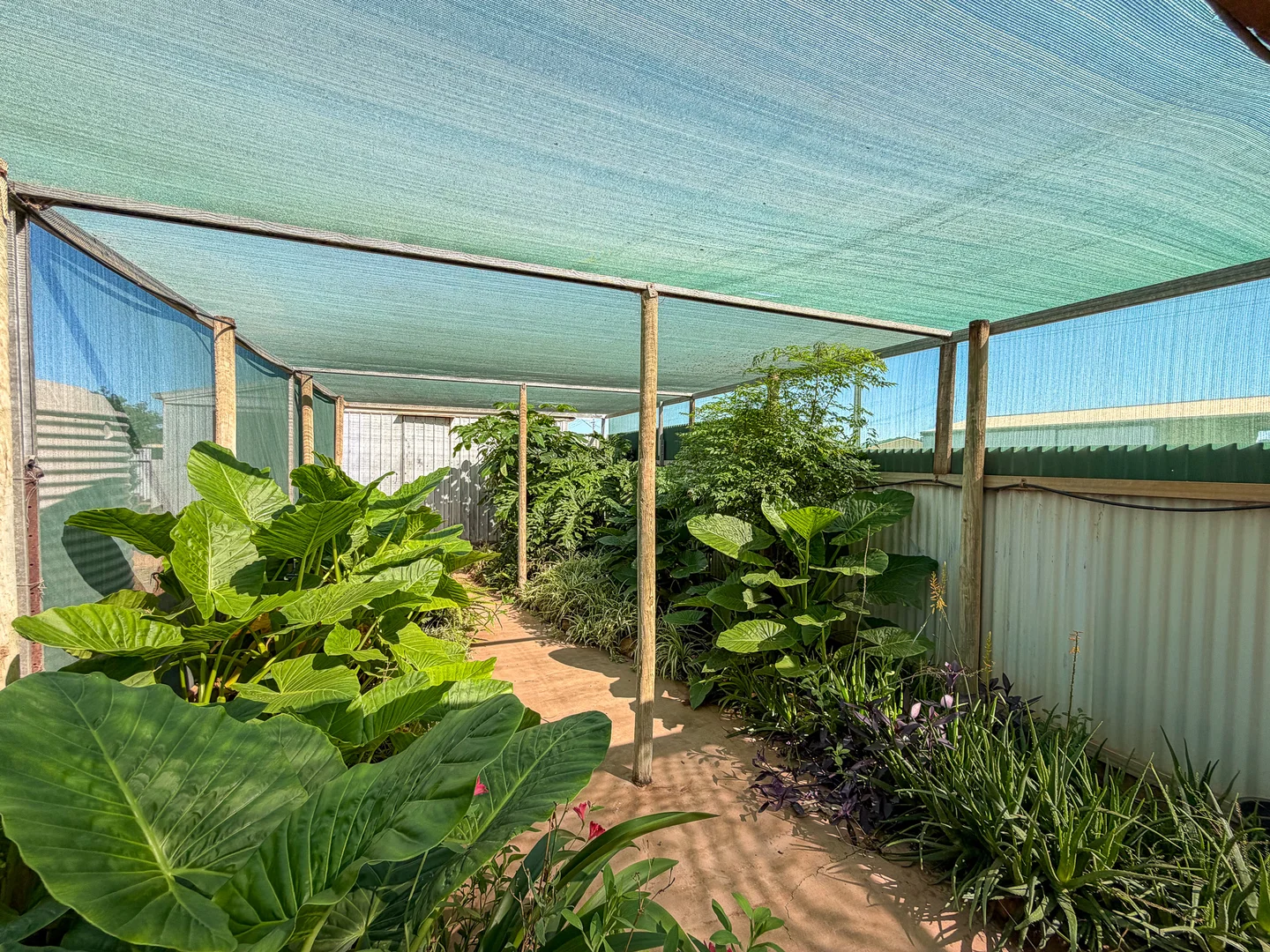 Additional image 27 of 25 Kimba Road, Cowell SA 5602